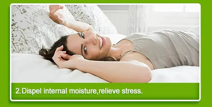 Bamboo Vinegar Detox Foot Patch - 20 Pack - Gaivana