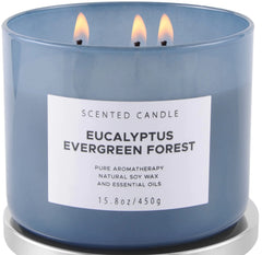 Eucalyptus Evergreen Forest Luxury 3 Wick Winter Pine Candle - Gaivana