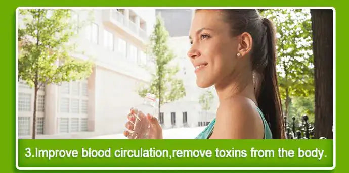 Bamboo Vinegar Detox Foot Patch - 20 Pack - Gaivana