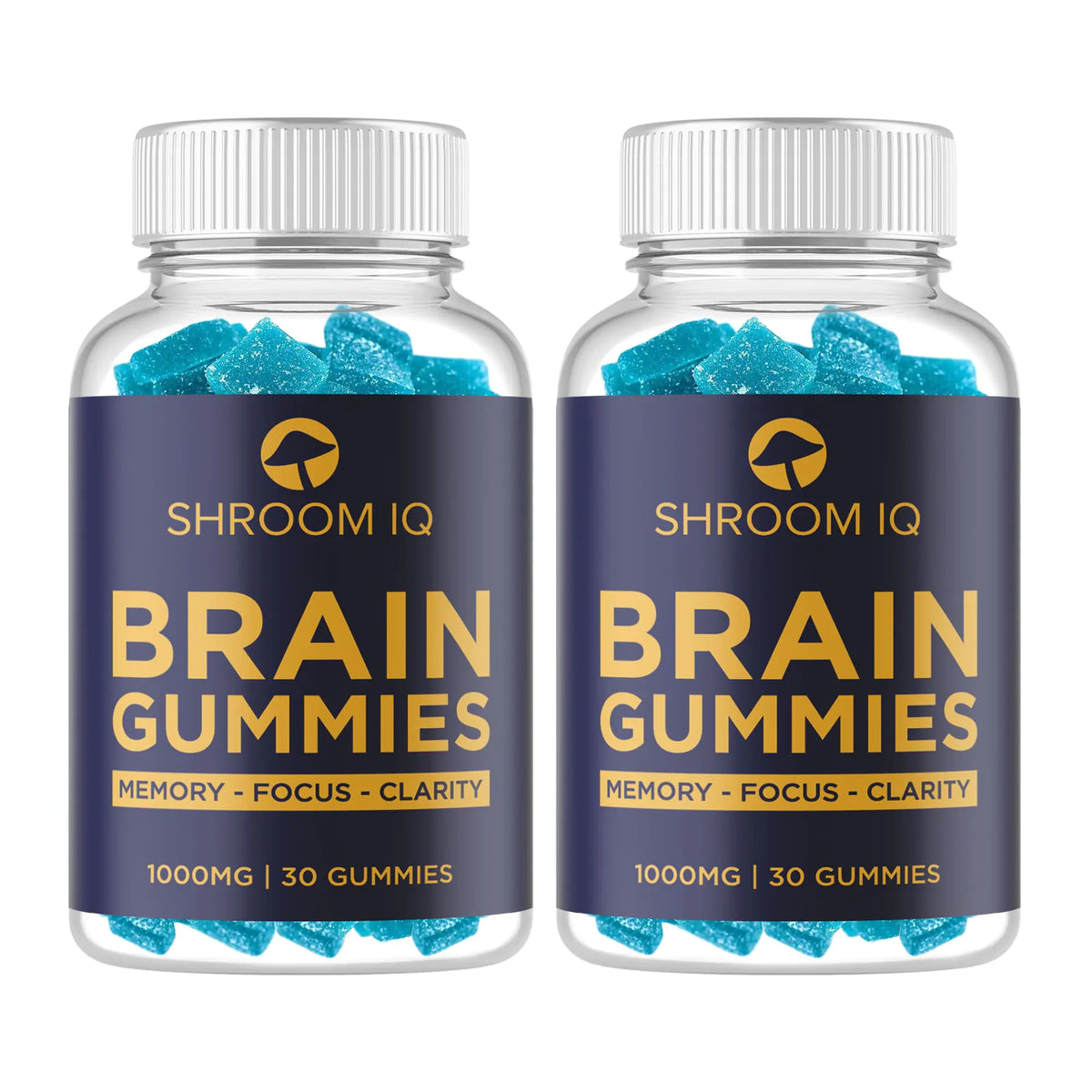 Shroom IQ Brain Supplements for Memory and Focus - Gaivana