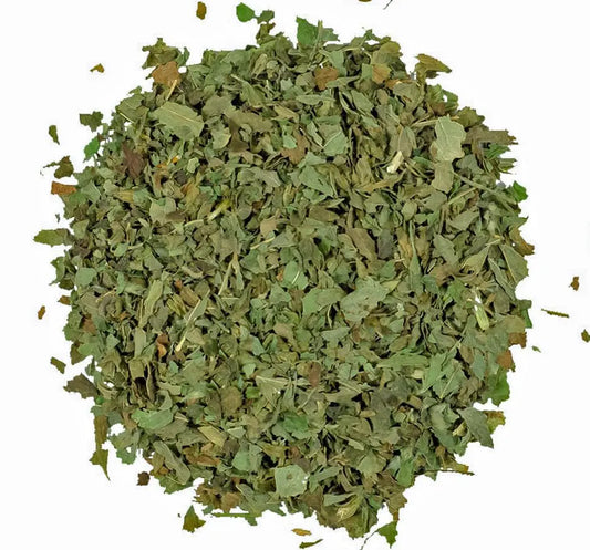 Moringa Leaf  Herbal Tea - Gaivana
