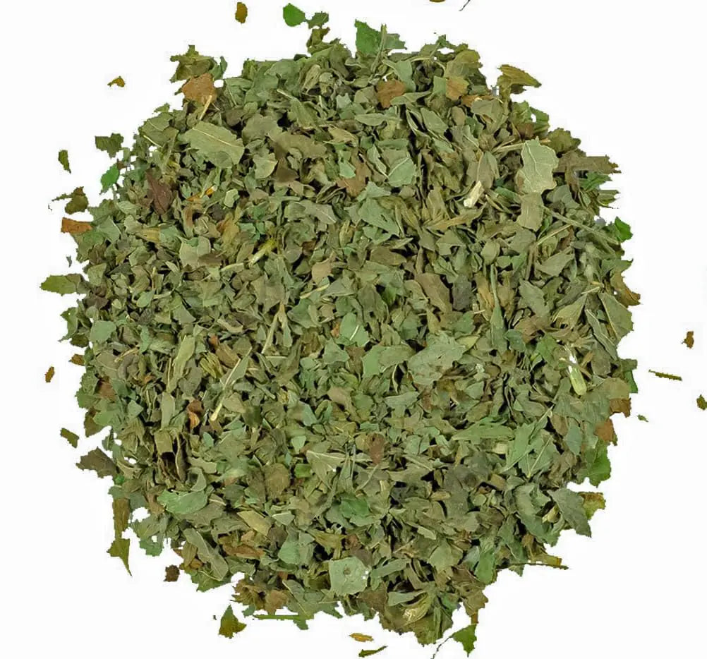 Moringa Leaf  Herbal Tea - Gaivana